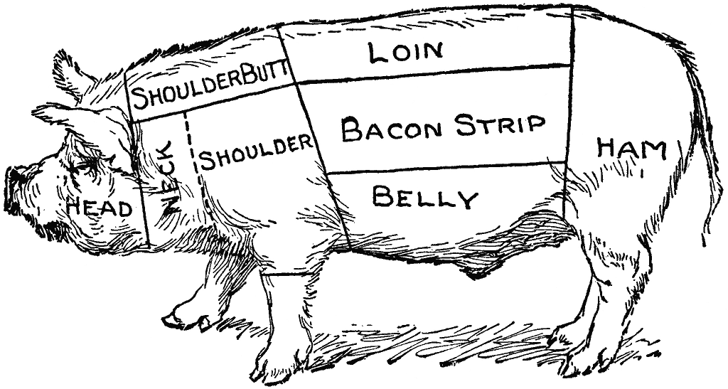 Diagram of the different cuts of a pig